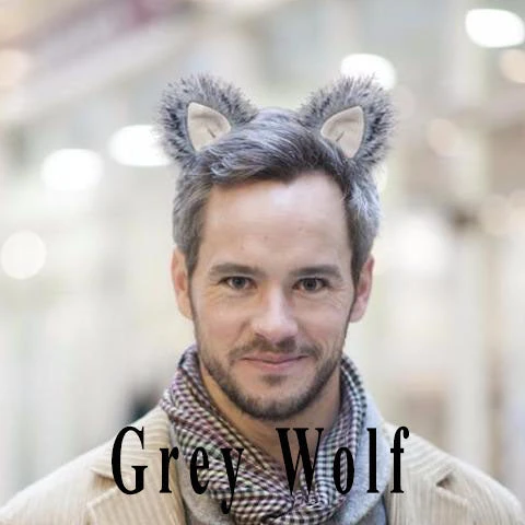 Furry Ears -Natural- Teardrop Style 5 Furry Ears -Natural- Teardrop Style - Image 3