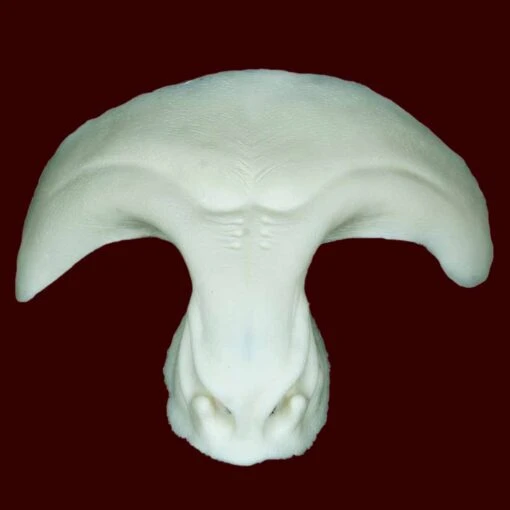 Adarra Demon Brow And Nose - Image 3