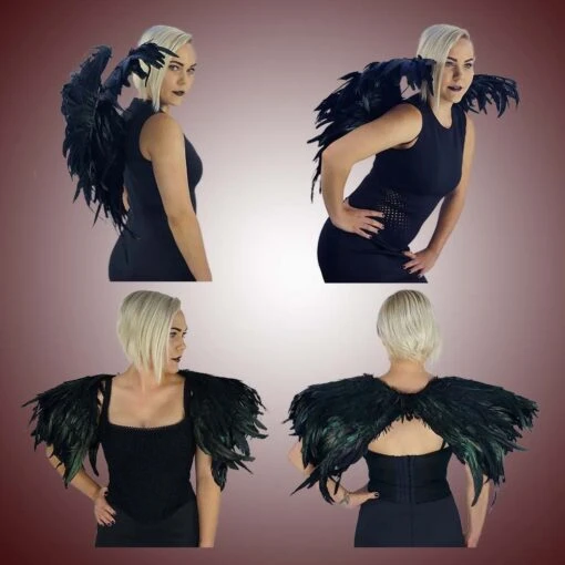 Blackbird Wing - Image 2