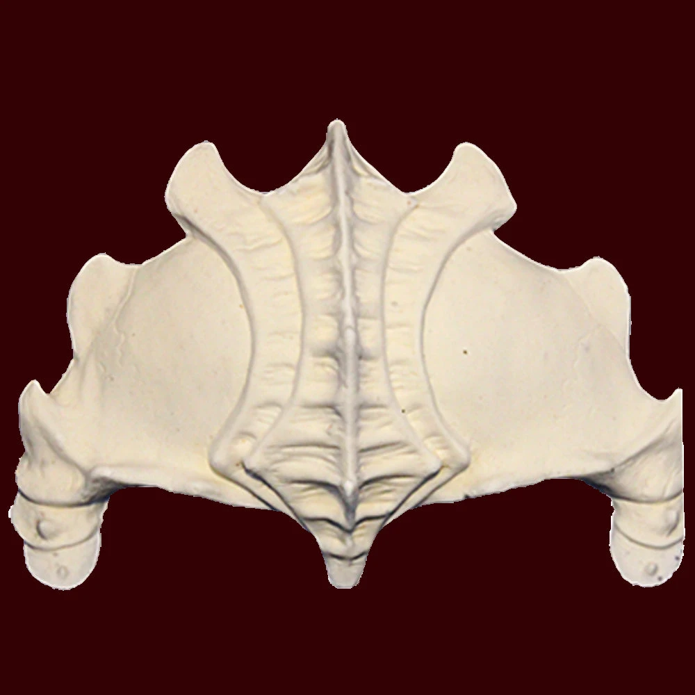 Brynja Demon 5 Brynja Demon - Image 3