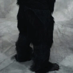 Gorilla Or Ape Pants