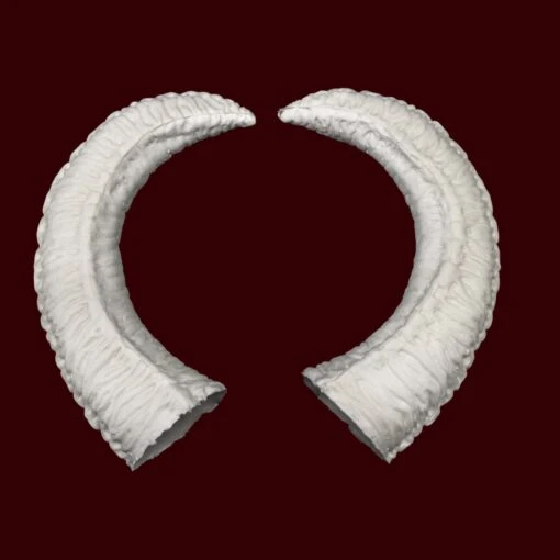 Cagaaran Horns - Image 3