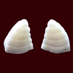 Cazuhl Horns Small -Smiffys Sales Cazuhlsmallhornsraw
