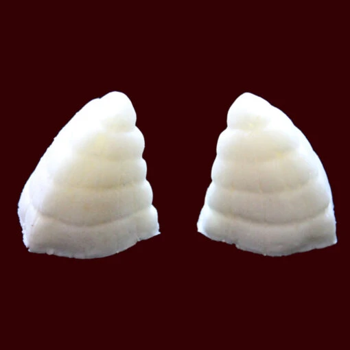Cazuhl Horns Small - Image 3
