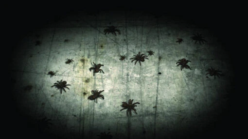 Digital FX DVD: Creepy Crawlies 2 - Image 3