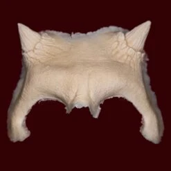 Devil Brow By Infected FX 7 Devil Brow By Infected FX -Smiffys Sales DevilBrow Raw DB01