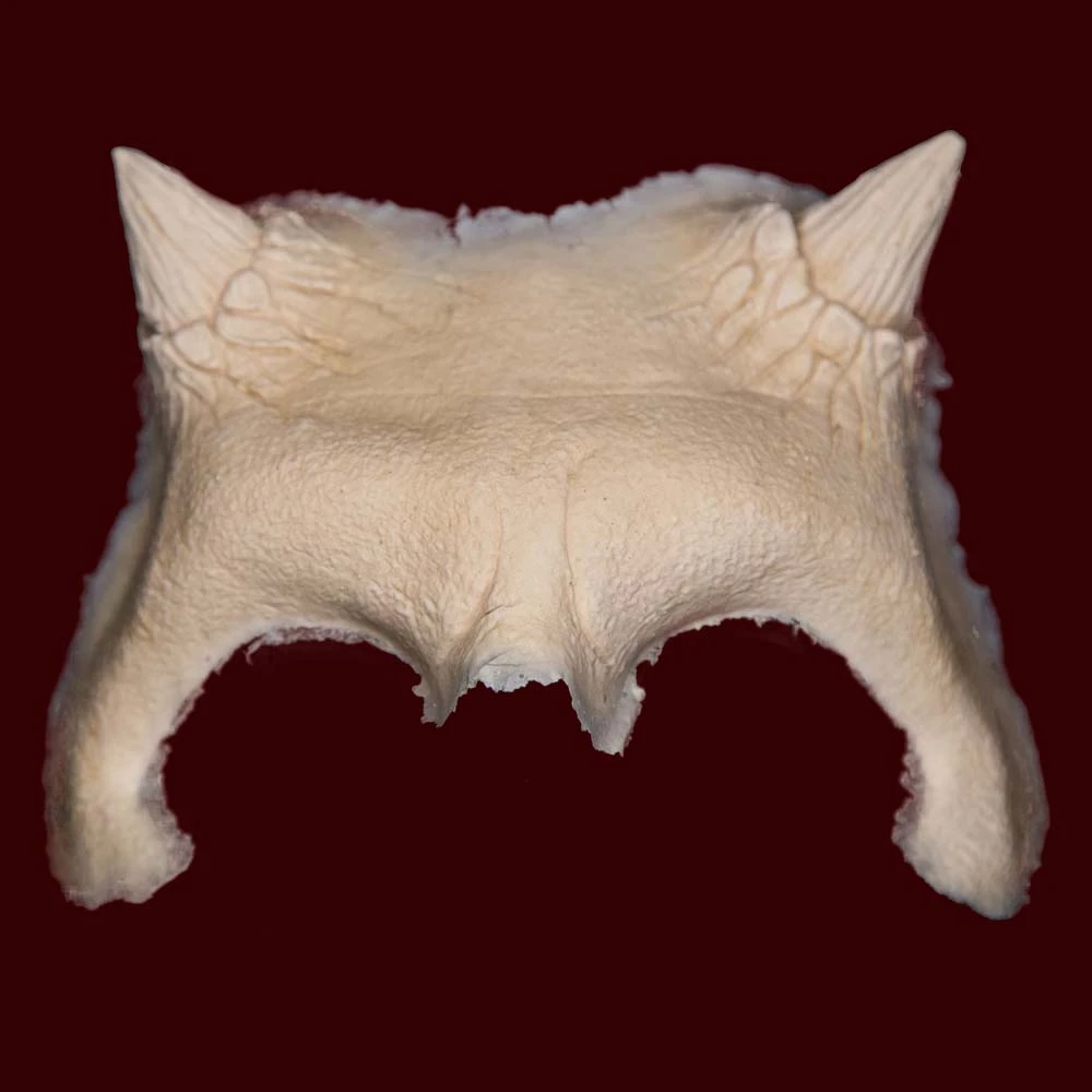 Devil Brow By Infected FX 5 Devil Brow By Infected FX - Image 3