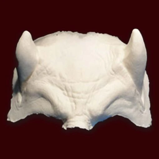 Devilish Horned Brow - Image 3