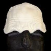 Foam Latex Forehead #148 -Smiffys Sales FO148