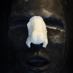 Costume Nose #161