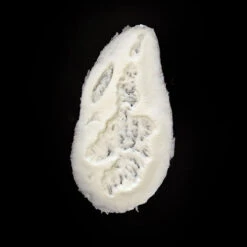 Random Scar/wound Foam Prosthetic #165