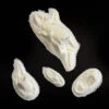 Multiple Protruding Bone Injury Foam Prosthetic #166 -Smiffys Sales FO166