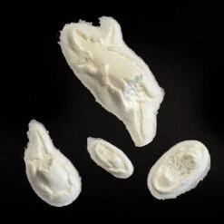 Multiple Protruding Bone Injury Foam Prosthetic #166