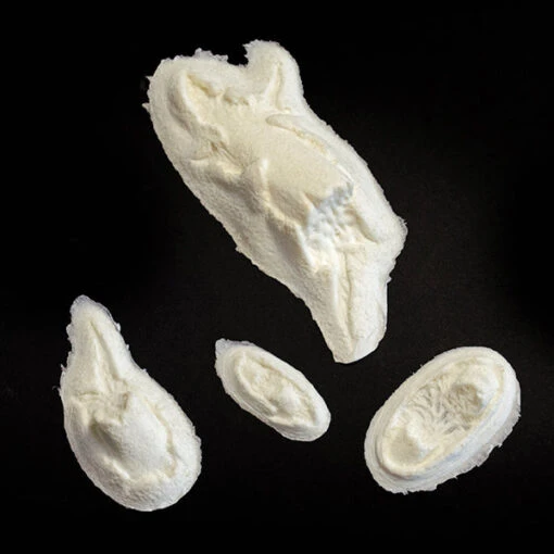 Multiple Protruding Bone Injury Foam Prosthetic #166