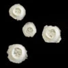 Bullet Holes Prosthetic Set #167 -Smiffys Sales FO167