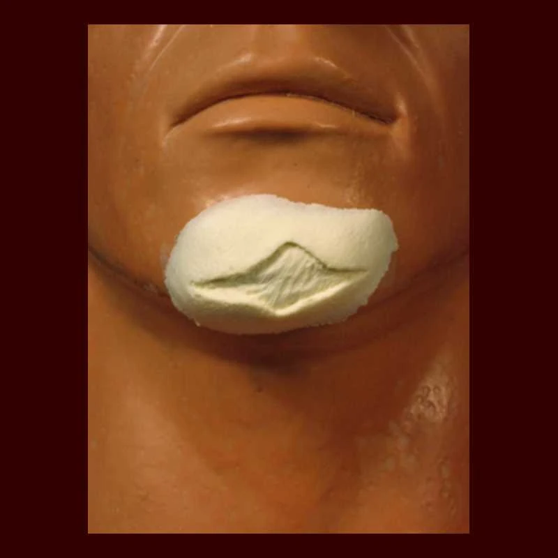 Lg. Split/cut Chin 3 Lg. Split/cut Chin