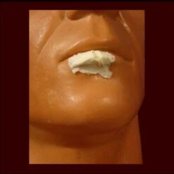 Sm. Split/cut Lip