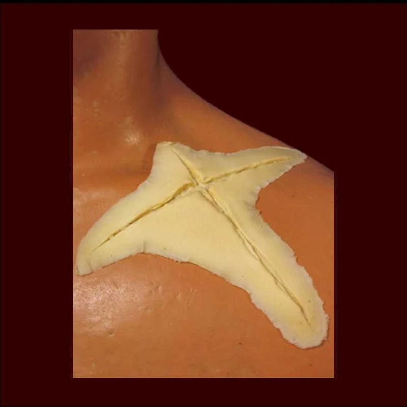 Lg. X Cut 3 Lg. X Cut