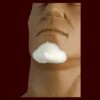 Pixie Chin -Smiffys Sales FRW 079 Pixie chin