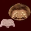 Horned Brow Forhead Prosthetic -Smiffys Sales HornedBrow