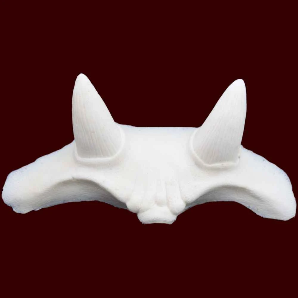 Horned Forehead 4 Horned Forehead - Image 2