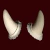 Horns By Infected FX -Smiffys Sales Horns Raw H001