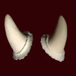 Horns By Infected FX