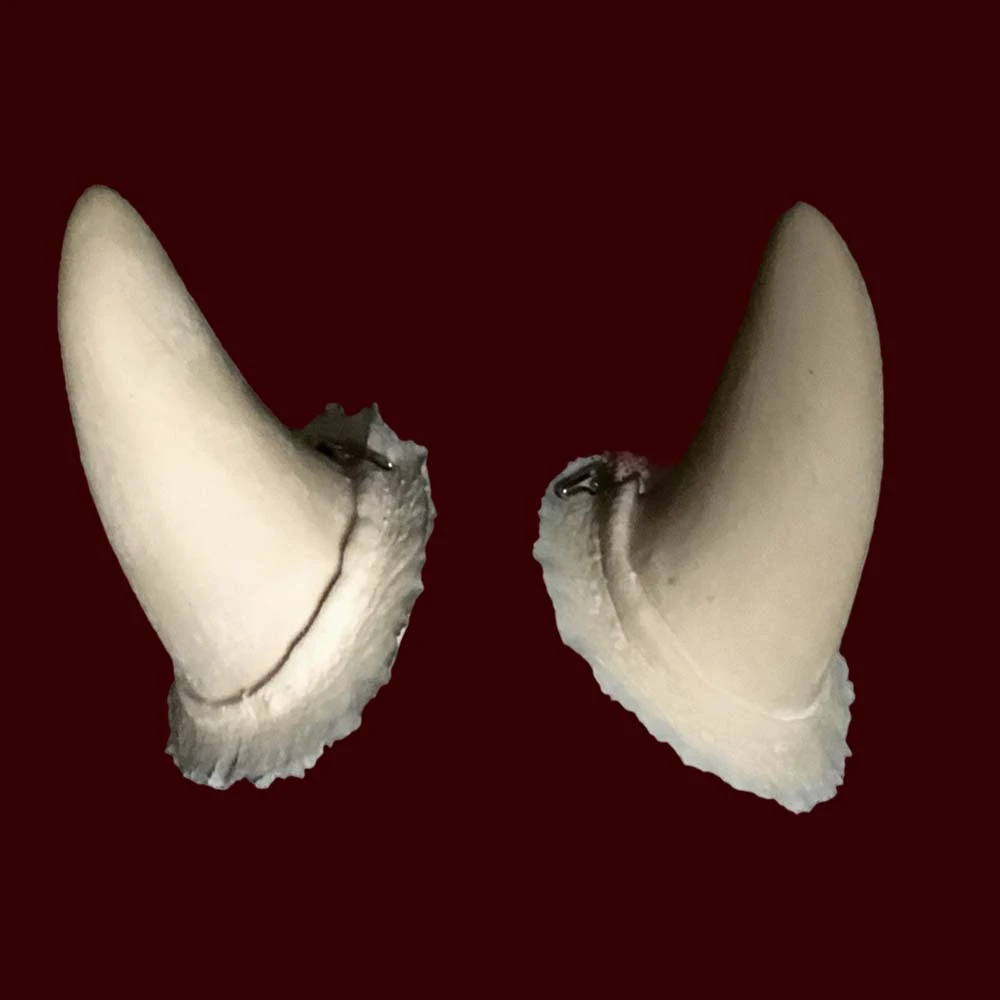 Horns By Infected FX 3 Horns By Infected FX