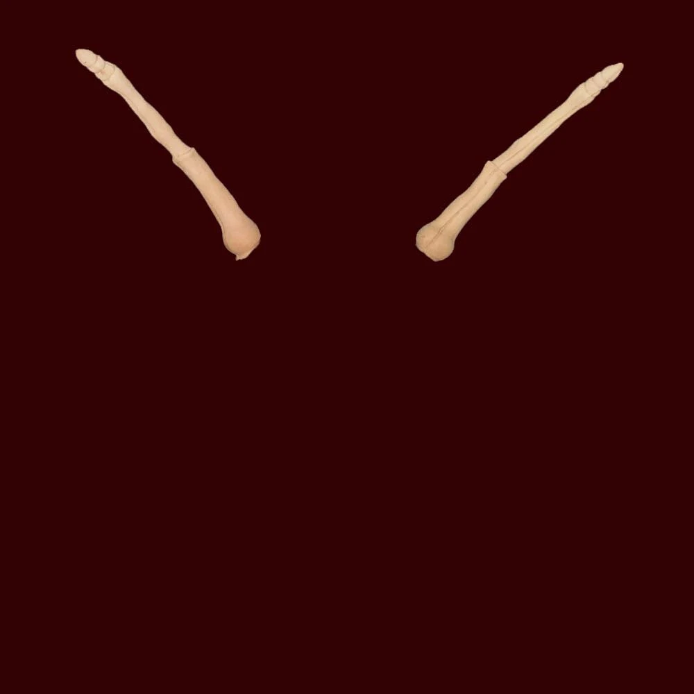 Antennae 4 Antennae - Image 2