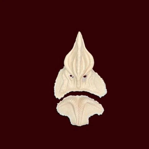 Bat Nose And Lip