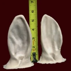 Faun Ears By IFX 7 Faun Ears By IFX -Smiffys Sales IFXFaunEarsrulerraw