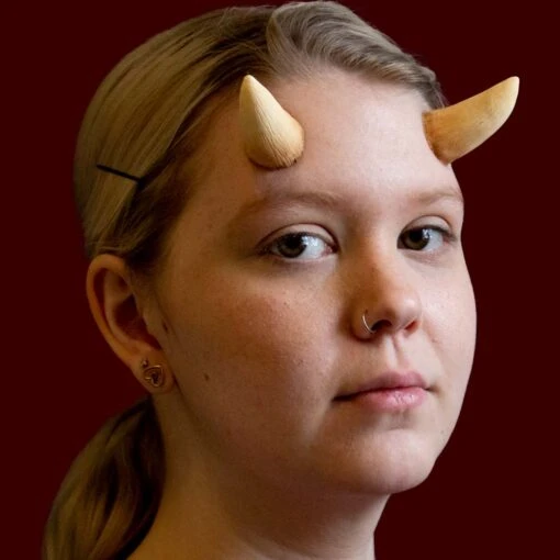 Medium Horns Type D - Image 3