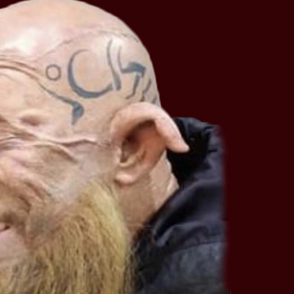 Pig Ears By Infected FX 4 Pig Ears By Infected FX - Image 2