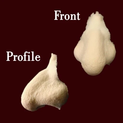 Pirate Witch Hag Nose - Image 3