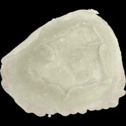 Revulsion Injury Appliance (Torn, Scraped Flesh) 9 Revulsion Injury Appliance (Torn, Scraped Flesh) -Smiffys Sales REVULSION 300X3 62fdbdf6 904f 416a 91f0 623313571d2f