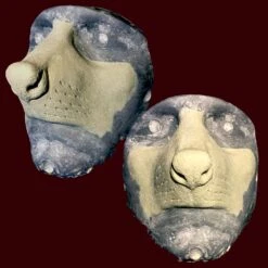 Raccoon Nose