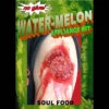 Soul Food (Bite Wound) -Smiffys Sales SOUL FOOD