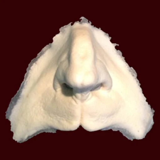 Snitch - Image 3