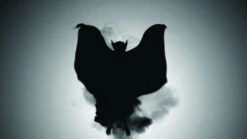 Digital FX DVD - Tricks And Treats -Smiffys Sales Tricks Treats screenshot Going Batty