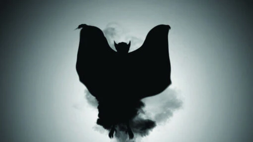 Digital FX DVD - Tricks And Treats - Image 7