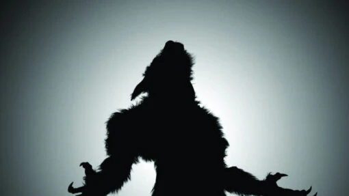 Digital FX DVD - Tricks And Treats - Image 4