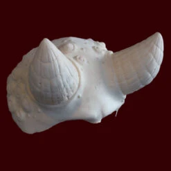 Vakmero Headpiece -Smiffys Sales Vakmerohornsraw