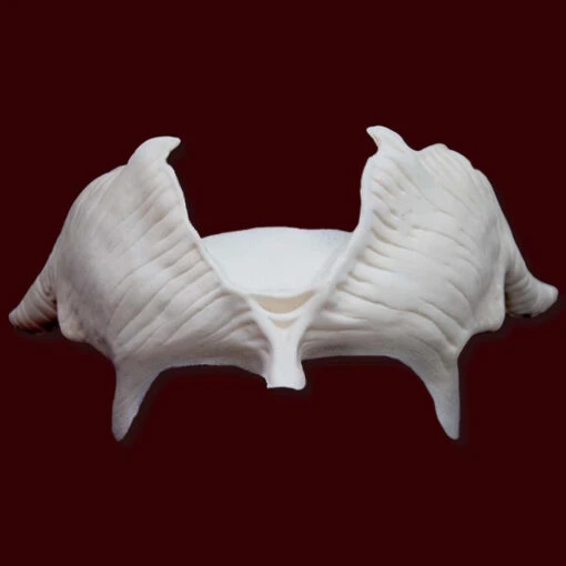 Vinogu'Raza Demon Brow With Horns - Image 2
