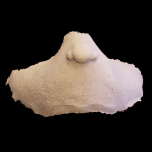 What Nose - Image 4