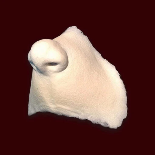 Who Nose Style 1 - Image 3