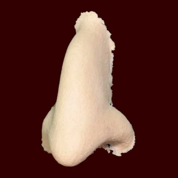 Witch Nose Foam Appliance 4 Witch Nose Foam Appliance - Image 2