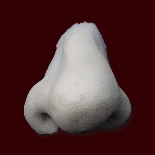 Crooked Wizard Nose - Image 2