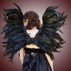 Blackbird Wing