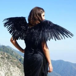 Mockingjay Wings -Smiffys Sales ezgif.com webp to jpg 5