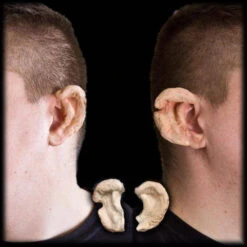 Troll Ears